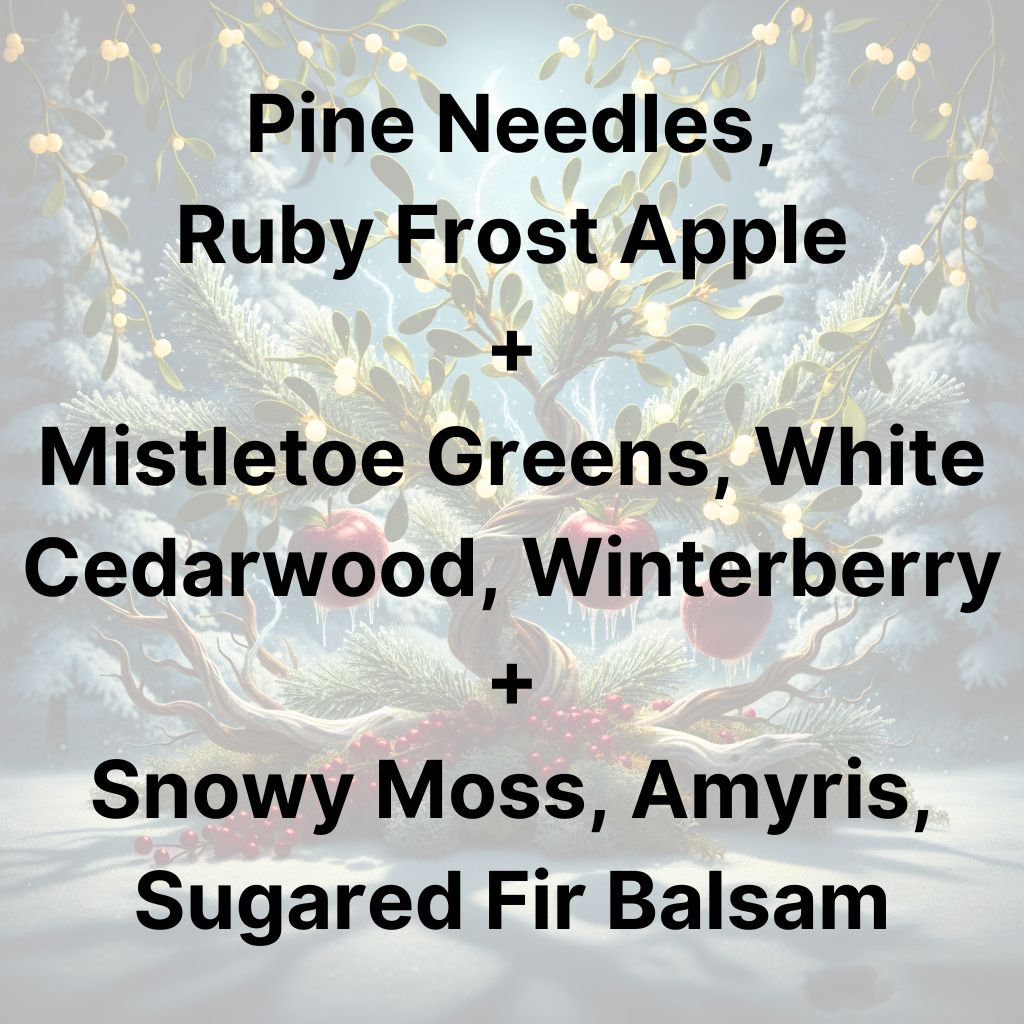 THE MISTLETOE MISCHIEF