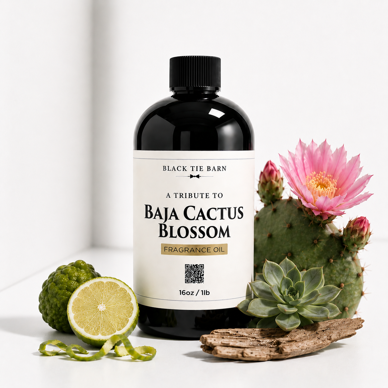 BAJA CACTUS BLOSSOM (Tribute)